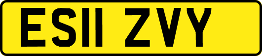 ES11ZVY
