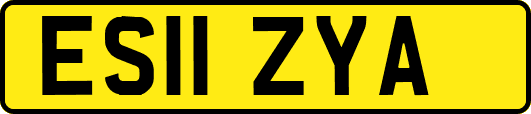 ES11ZYA