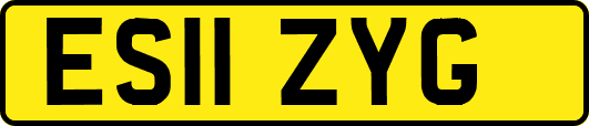 ES11ZYG