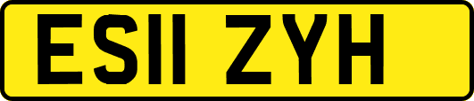 ES11ZYH