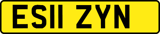 ES11ZYN