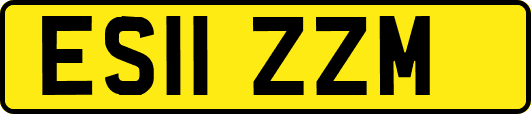 ES11ZZM