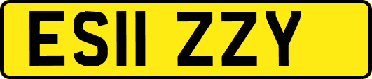 ES11ZZY