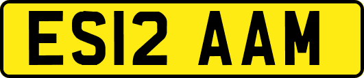 ES12AAM