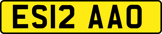 ES12AAO