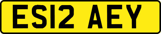 ES12AEY