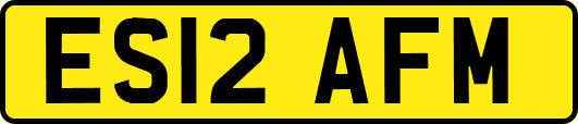 ES12AFM