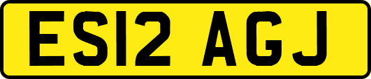 ES12AGJ