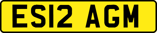 ES12AGM