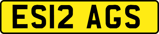 ES12AGS