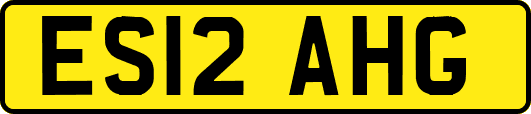 ES12AHG