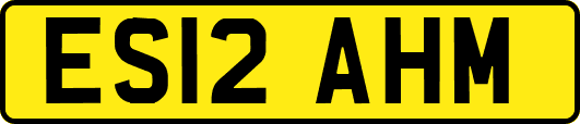 ES12AHM