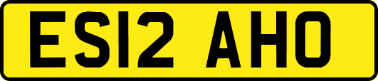 ES12AHO