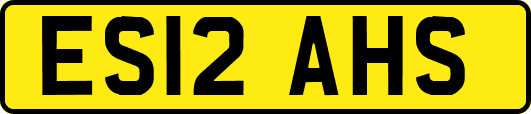 ES12AHS