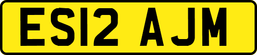 ES12AJM