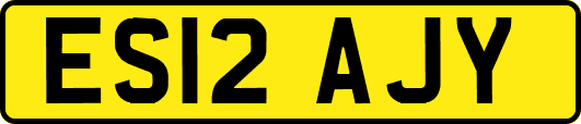 ES12AJY