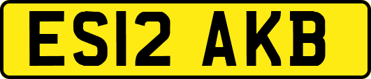 ES12AKB