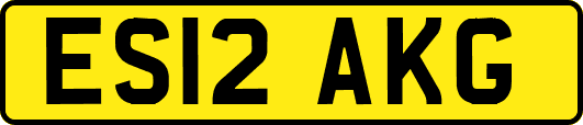 ES12AKG
