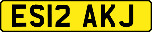 ES12AKJ