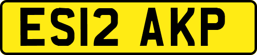 ES12AKP