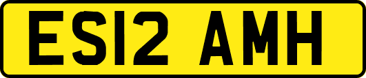 ES12AMH