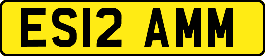 ES12AMM