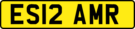 ES12AMR