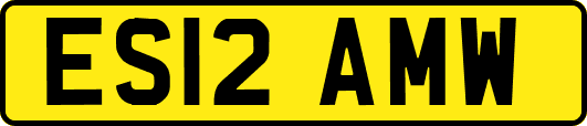 ES12AMW