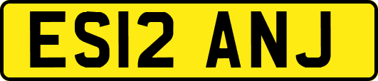 ES12ANJ
