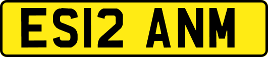 ES12ANM
