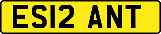ES12ANT