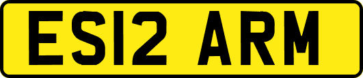 ES12ARM