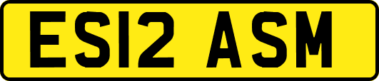 ES12ASM