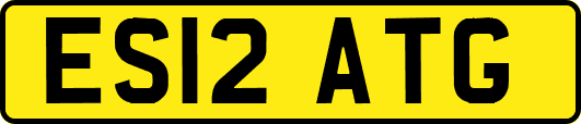 ES12ATG