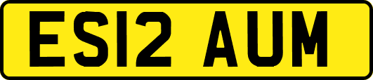 ES12AUM