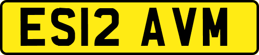ES12AVM