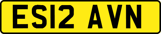 ES12AVN