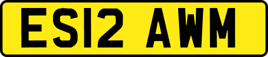 ES12AWM