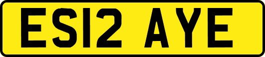ES12AYE