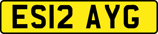 ES12AYG