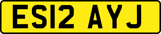 ES12AYJ