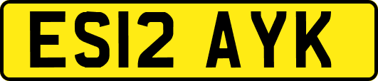 ES12AYK