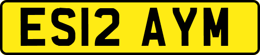 ES12AYM