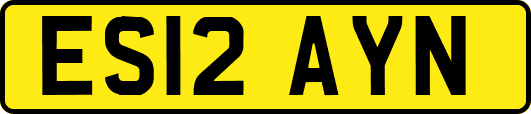 ES12AYN