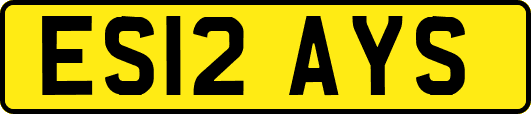 ES12AYS