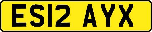 ES12AYX