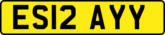 ES12AYY