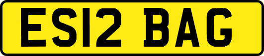 ES12BAG