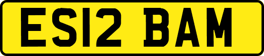 ES12BAM