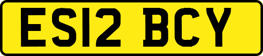ES12BCY